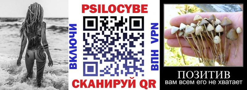 Псилоцибиновые грибы Magic Shrooms  Купить где  Лодейное Поле 